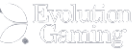 Evolution Casinos